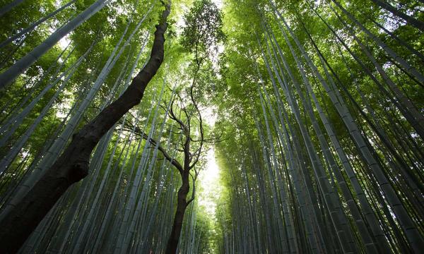 台积电全力冲刺1.4纳米芯片制程 引入AI系统护航2028年年中量产目标