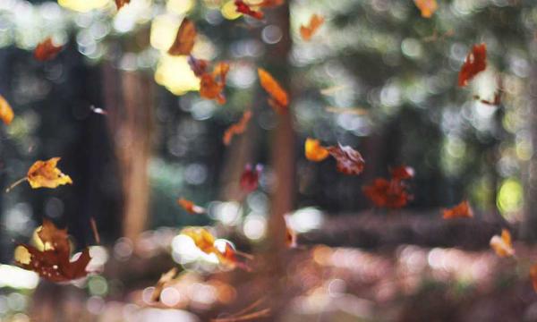 专家学者齐聚深圳共探大湾区生物制造科技成果产业化
