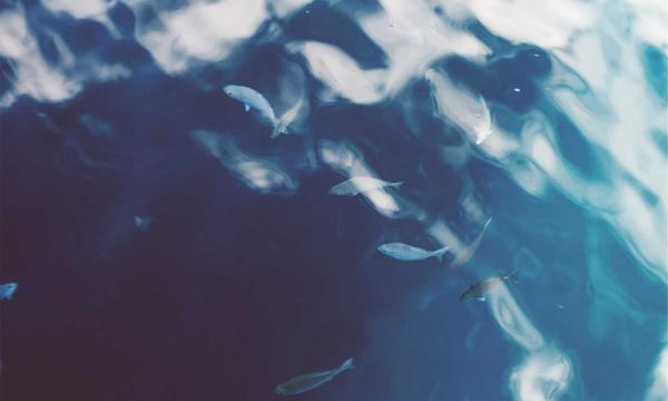 印尼哈山努丁大学孔子学院恩星学校教学点揭牌仪式举行